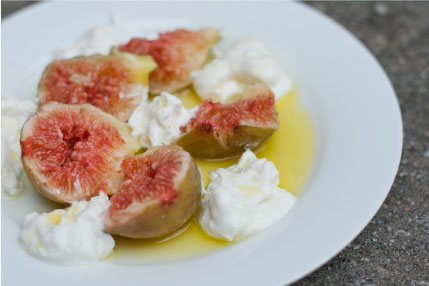 Freelance Photography